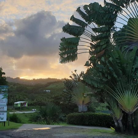 La Case A Malou Apartment Marigot Exterior photo